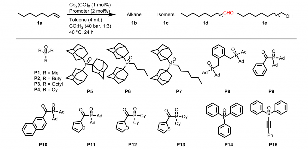 Ligands tested in the cobalt hydroformylation reaction